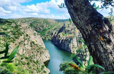 Casas do Abô Fredo - Foto 26