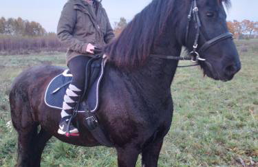 Gospodarstwo agroturystyczne - Foto 68