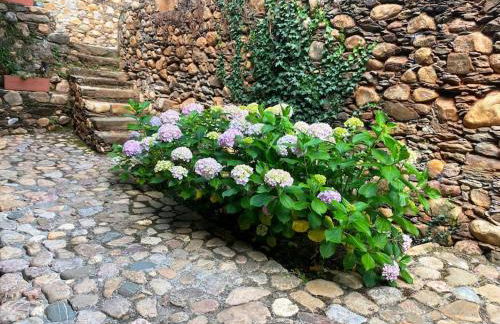 Quinta da Maria Mendes - Foto 39