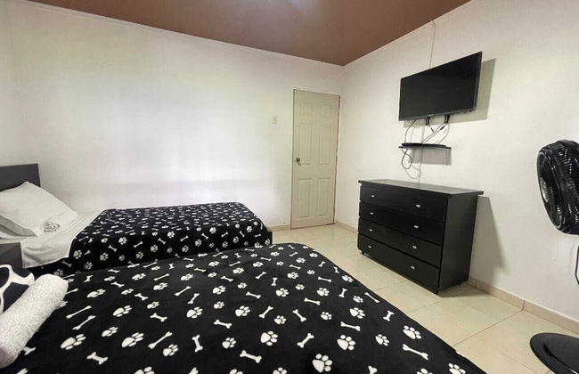 finca el arrullo - Photo 4