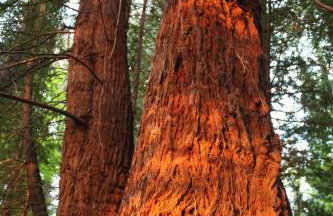 Crotlieve Barn - Photo 50