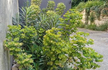 Maison La Petite Cour - Spa - Foto 15