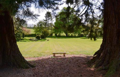 May's Mews - Foto 10