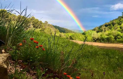 Les goûts et les couleurs - Foto 15