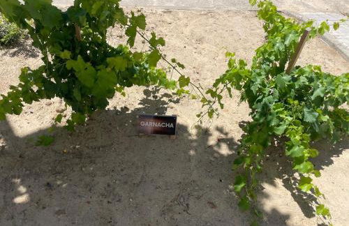 Villacremita Nice and different house in Rueda - Foto 40