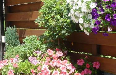 Villa "Corte de' Baldi" - Foto 20