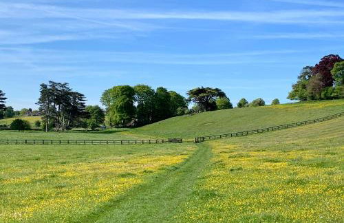 Pretty Cotswold Cottage with garden near Bibury - Foto 43