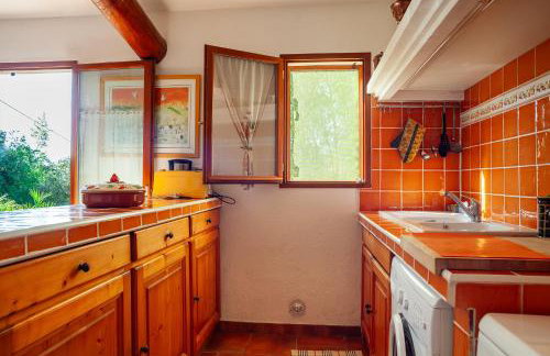 Les Oiseaux - Photo 16