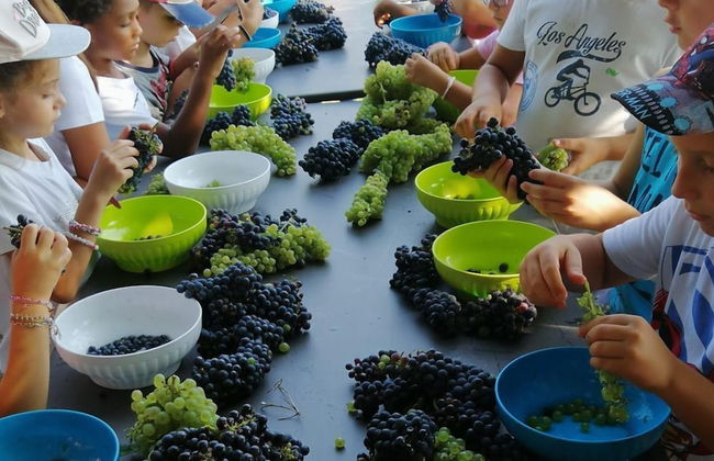 Palagina la cascina - Foto 61