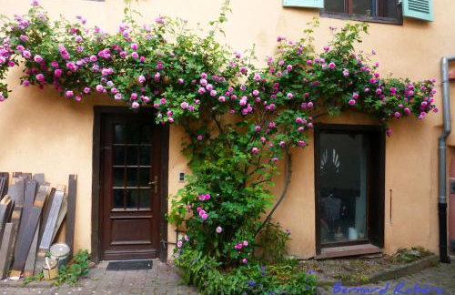 Plein Sud vue sur les Vosges et le vignoble - Foto 46