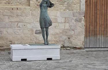 les coquelicots en baie de Somme - Foto 20