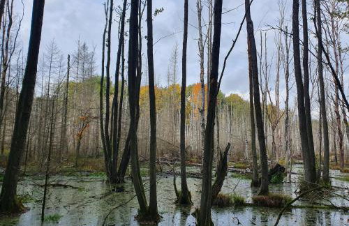 Zaciszne SPA - Foto 4