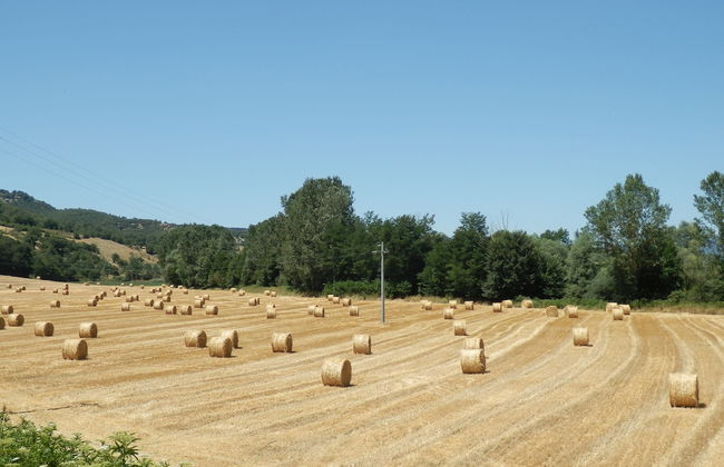 Charming Tuscan Farmhouse - Foto 39