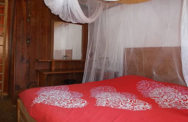 Termas da Azenha - Foto 31