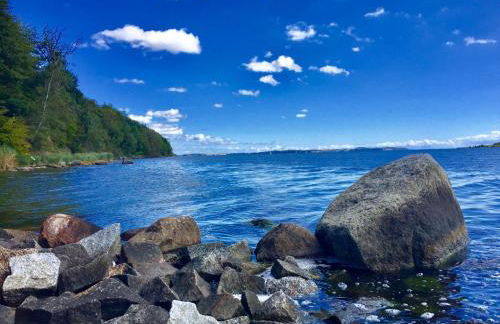 Ferienhaus Fiete XXL auf Rügen - Doppelferienhaus für 16 Personen - Foto 56
