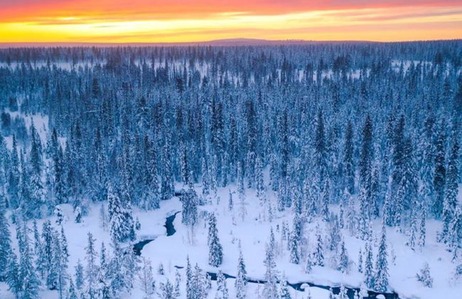 Rey de Ylläs: Ascenso a la colina en motonieve - Desde Ylläs - Foto 2