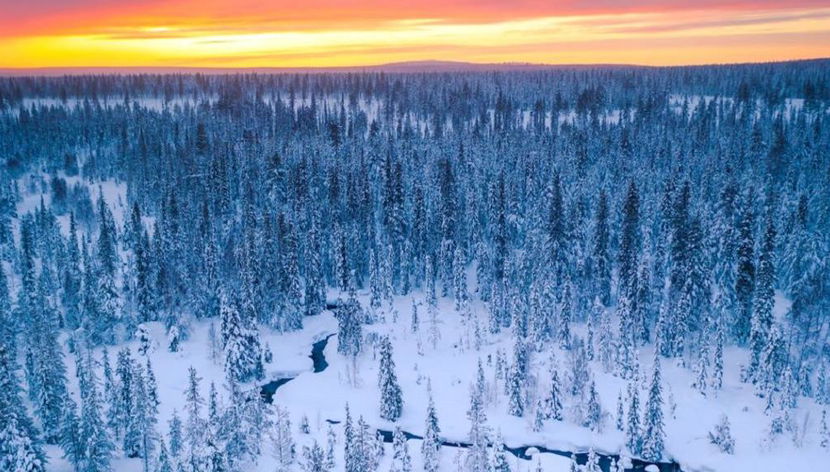 Rey de Ylläs: Ascenso a la colina en motonieve - Desde Ylläs - Foto 2