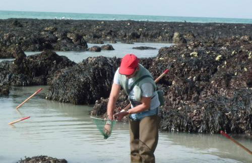 Gîte Gîtes de France® - La P'tite Mouette - Foto 24