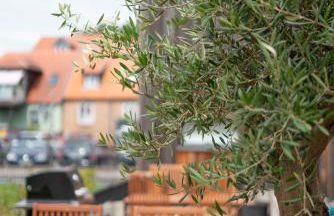 Hafenresidenz - Foto 17