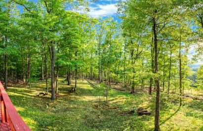 Cozy cabin w hot tub, deck & BBQ - Foto 30
