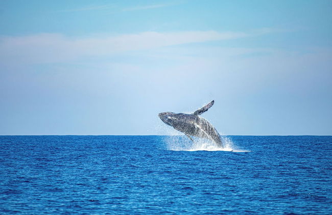 El Salvador Surf Houses - Photo 41