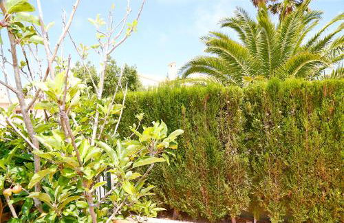 Lighthouse View II - Foto 28