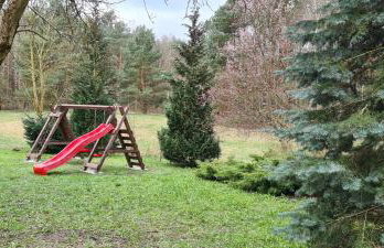 Domek w Lesie Bory Tucholskie - Foto 35