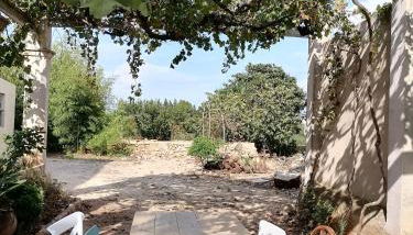 Masia Rosalia - Foto 5, Garden