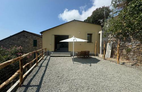 Tuvo Houses - Foto 23
