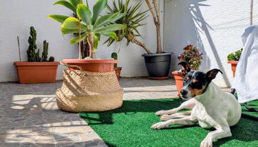 Mediterranean Chill House BBQ & Pools - Foto 5