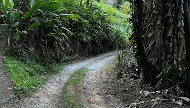 Tao da Serra - cabana em meio à natureza! - Foto 3
