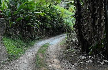 Tao da Serra - cabana em meio à natureza! - Foto 3