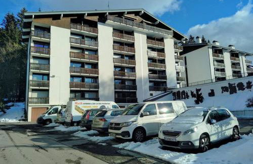 Le Mazots 4 pers, Balcon, Parking, Proche Pistes - Foto 3