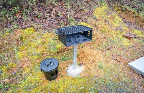 Mountain Views, Hot Tub, Firepit, dog friendly, EV connector - Foto 5