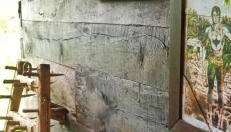 Guesthouse DARKWOOD - Foto 4