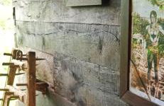 Guesthouse DARKWOOD - Foto 4