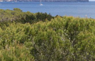 Apartamentos Sofía - Foto 8