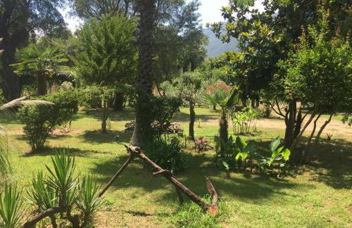 Résidence EMILIA - Foto 65