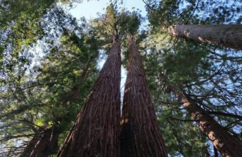 Crispin Cottage - Foto 16