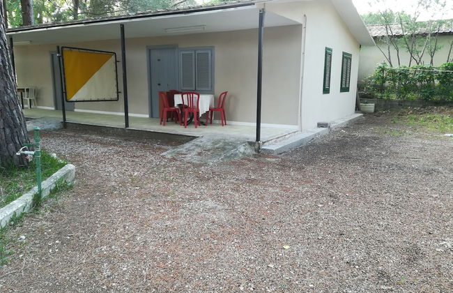 Parco delle Viole - Foto 46