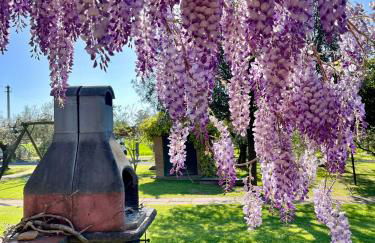 Agriturismo Valdo - Foto 26