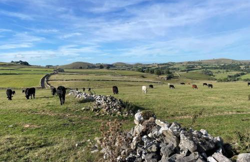 1 Bed in Buxton oc-90124 - Foto 14