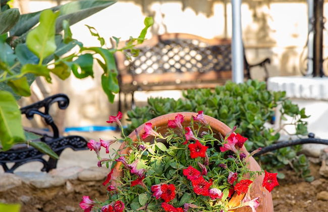 Aadonis Villa - Foto 42