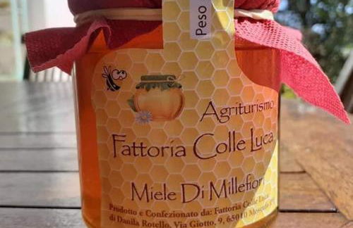 Agriturismo Fattoria colle Luca - Foto 41