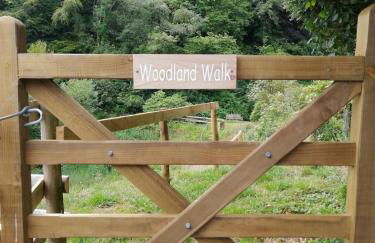 Stunning location in the centre of Exmoor - Foto 16