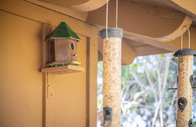 Nature Inspired Villa Designed for Wellness - Foto 73