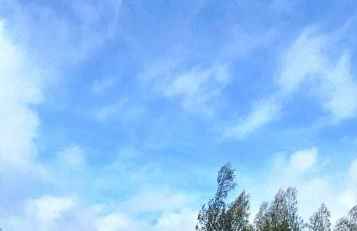 Quinta do Ti Vasco - Foto 20