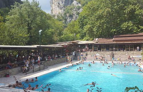 "The plane trees" - Foto 56