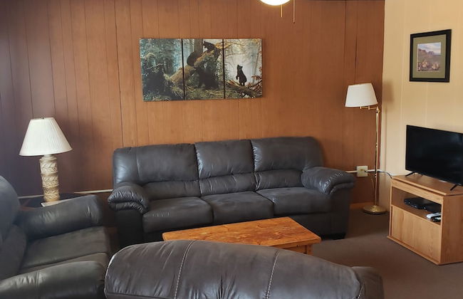 lazy bear cabins - Foto 39