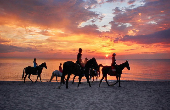 Holiday Home Near Dabki Beach - Photo 27